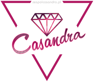 Bluza CASANDRA #1 (logo przód i tył) RÓŻNE KOLORY!
