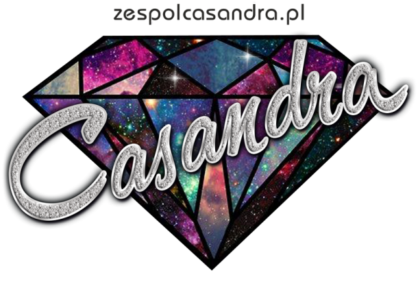 Bluza CASANDRA #2 (logo przód) RÓŻNE KOLORY!