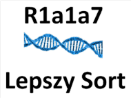 Lepszy Sort