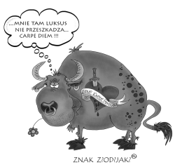 Znak Zodiak Byk