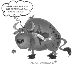 Znak Zodiak Byk