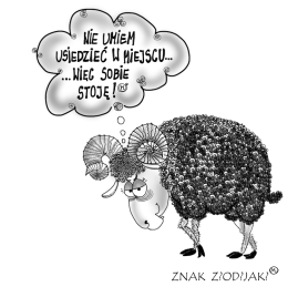 znak zodiak Baran
