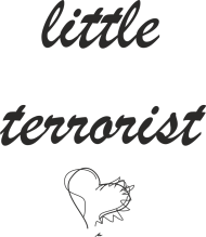 Bluza "little terrorist"