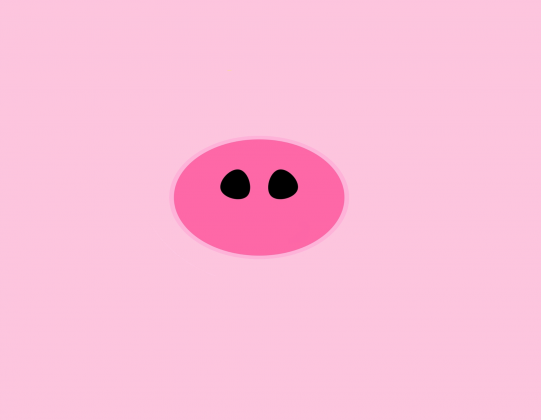 Piggy