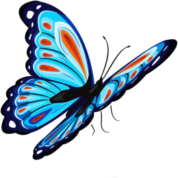 Motyl