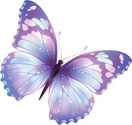 Motyl