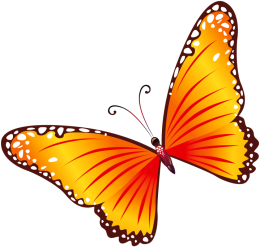 Motyl