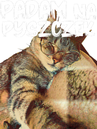 Koszulka Padam na pyszczek / kot / kotek / zmęczona