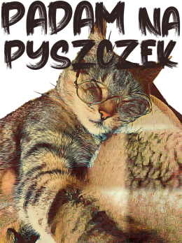 Koszulka Padam na pyszczek 2