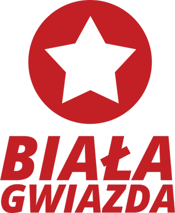 Bluza: Wisła Kraków - Biała Gwiazda