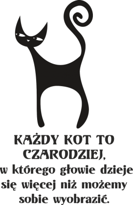 czarodziejskie koty