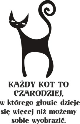czarodziejskie koty