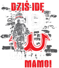 Bluza patriotyczna "Dziś idę walczyć mamo!"