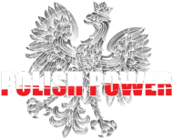 Bluza patriotyczna "Polish Power"