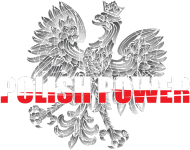 Koszulka patriotyczna "Polish Power"