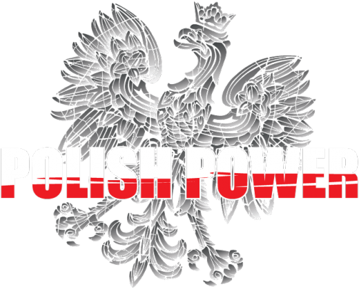 Bluza patriotyczna "Polish Power"