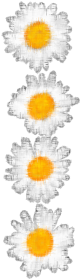 Kwiatuszki