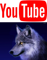 YouTube POWER