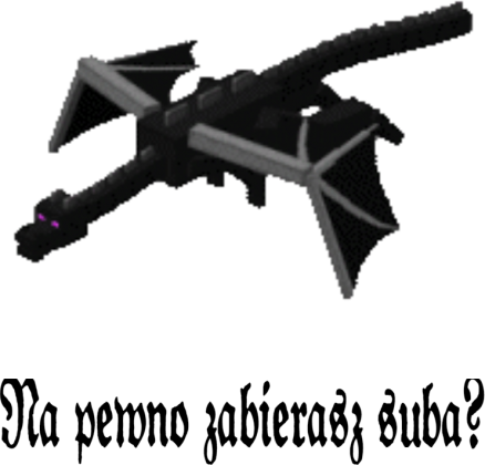 Koszulka dla dziewczynki Z nadrukiem