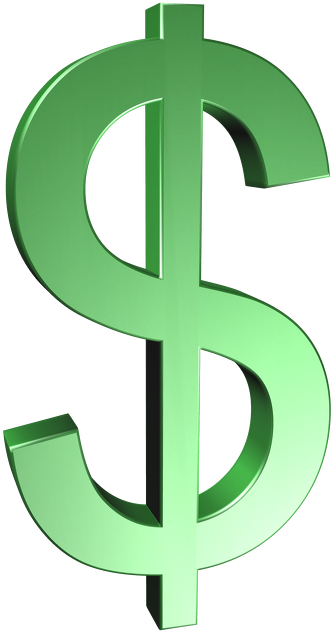 TS MĘSKI Dolar