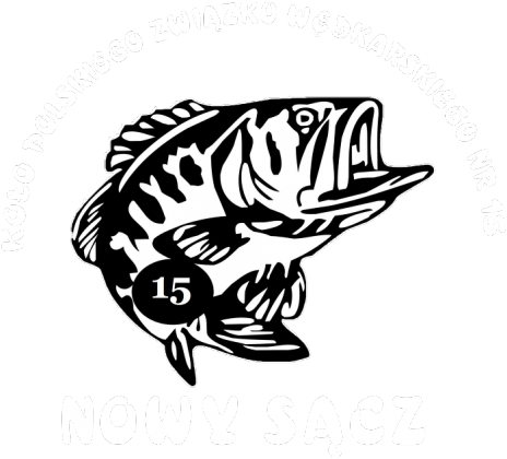 Koszulka z logo PZW