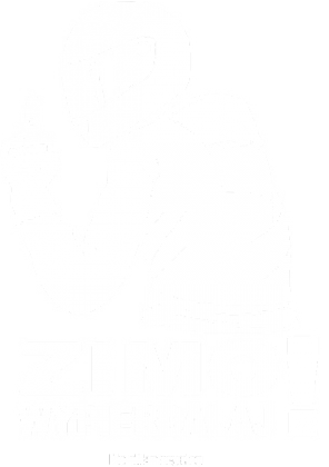 ZIMOWA bluza z kapturem