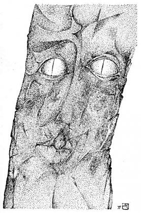 Drzewiec