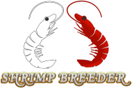 Shrimp Breeder - T-Shirt