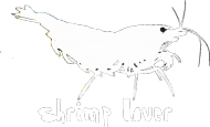 Shrimp Lover