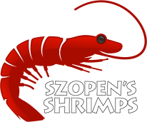 Czapka - Szopen's Shrimps