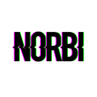 Bluza " Norbi "