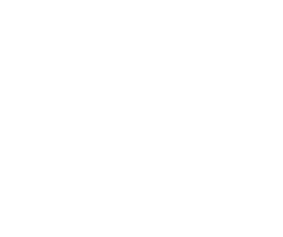 TheViant Symbol Basic