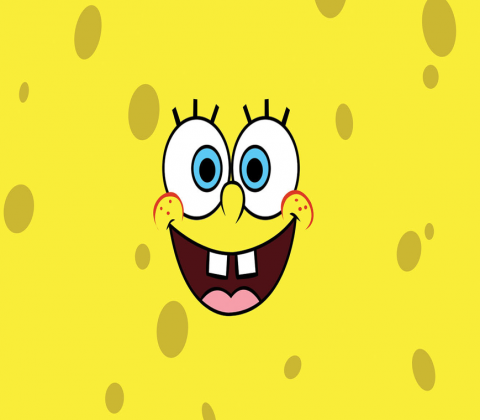 SpongeBob Lovers