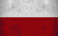 Bluza męska z polską flagą