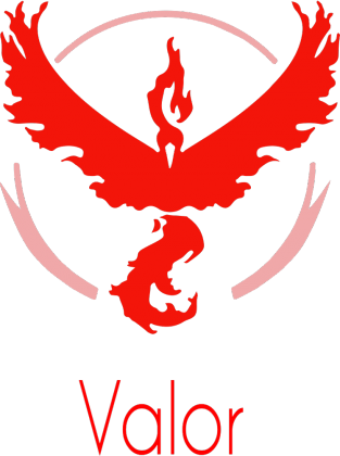 Team Valor Dziecięca