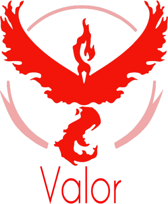 Team Valor Męska