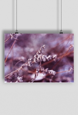 Plakat Zima - Gadżety tworzone z miłości do fotografii zbliżeniowej.