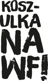 Koszulka chłopięca na WF