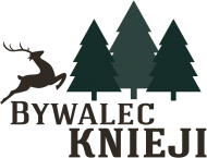 Koszulka Bywalec Knieji