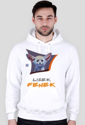 LISEK FENEK - GRZEGORZ WÓJCIK ART