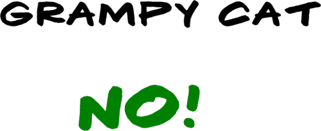 GRAMPY CAT - NO!
