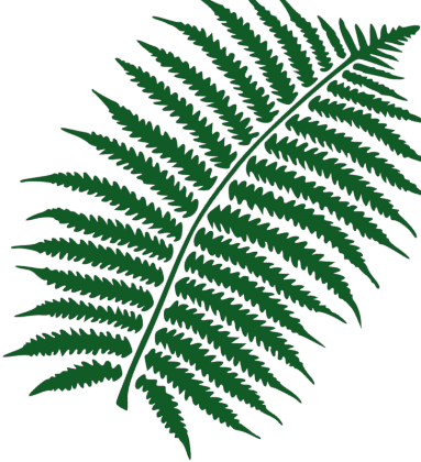 Fern
