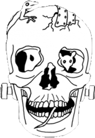 Rotten Skull