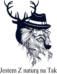 Koszulka z Nadrukiem