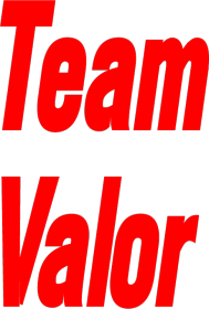 koszulka team valor