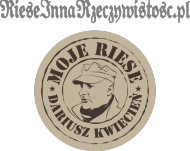 męska bluza z kapturem "Riese Inna Rzeczywistosc"