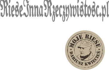 męska bluza z kapturem "Riese Inna Rzeczywistosc"