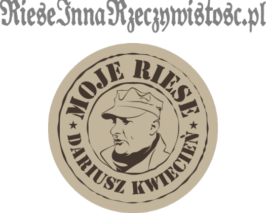 męska bluza z kapturem "Riese Inna Rzeczywistosc"