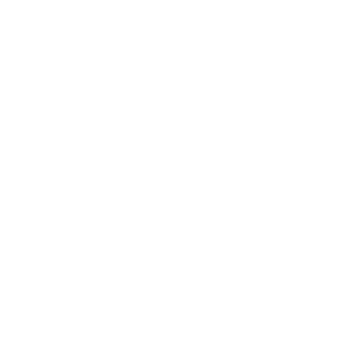 Wiki