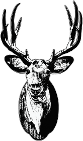 Oh Deer! - koszulka męska